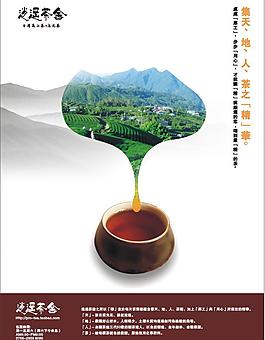 茶葉單頁圖片