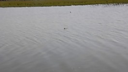 湖水視頻素材素材下載