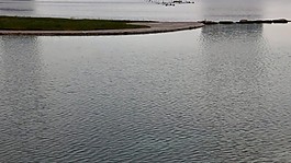 風景視頻素材