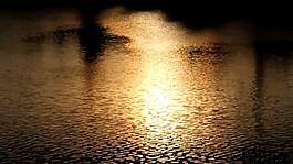 夕陽視頻素材素材下載