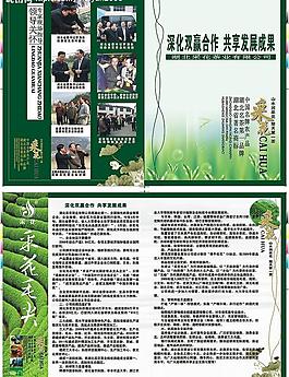 茶葉dm設(shè)計(jì)圖片