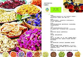 茶葉產品手冊設計圖片