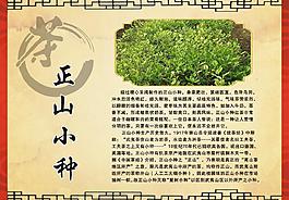 茶叶简介正山小种图片