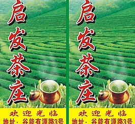 啟發茶莊圖片