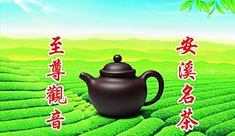 名茶圖片