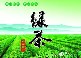 綠茶圖片