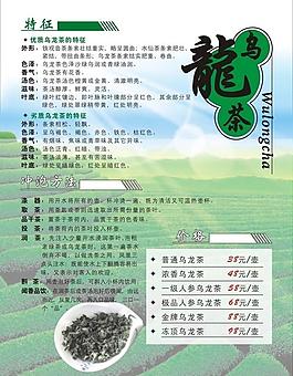 烏龍茶圖片