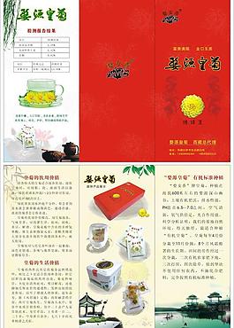 婺源皇菊宣傳單圖片