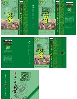 小葉苦丁茶圖片