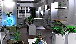 店di Fiori