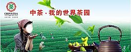茶園圖片
