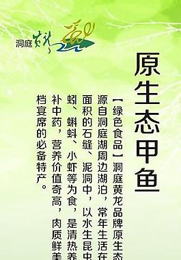 原生态甲鱼易拉宝图片