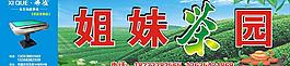 茶園圖片