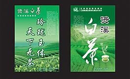 資溪白茶圖片