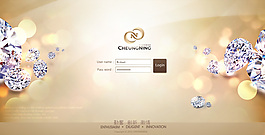 絢麗網(wǎng)站登錄界面
