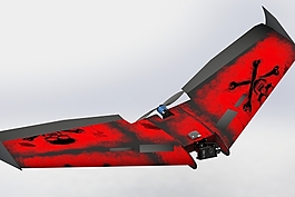 ritewing和Z II