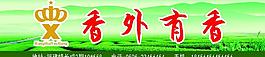 茶葉圖片