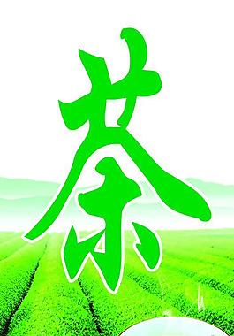 茶葉圖片