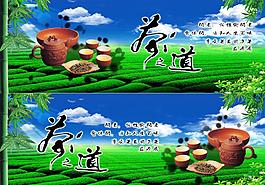 茶葉圖片