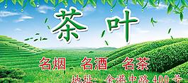 茶葉圖片