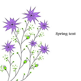 紫色小花