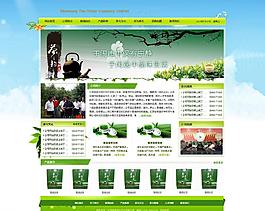 大氣茶葉網站圖片