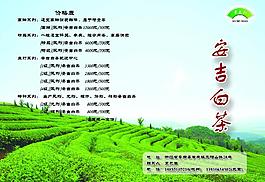茶葉宣傳單圖片