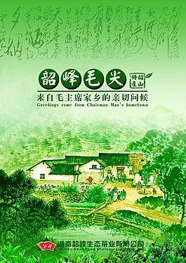 茶叶包装设计图片