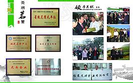 茶葉畫冊圖片