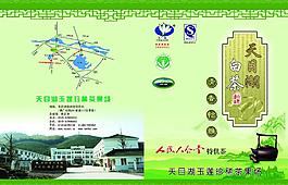 茶葉 宣傳單圖片