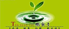 茶叶子水滴铁观音茶图片