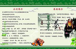 霧峰翠芽圖片