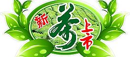 新茶上市圖片