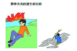 野外火災的逃生和自救圖片