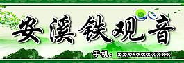 鐵觀音圖片