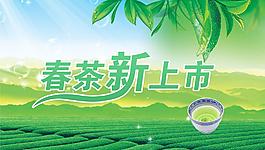 新茶上市圖片