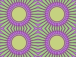 花為背景的幻燈片- 20519210