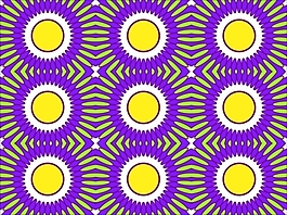 花為背景的幻燈片- 20439596