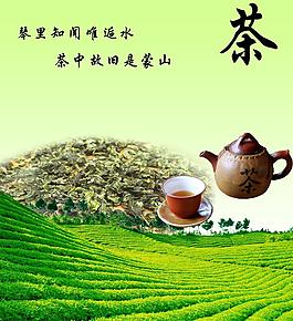 茶文化海報圖片