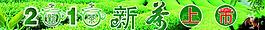 新茶上市图片