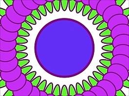 花為背景的幻燈片- 79068550