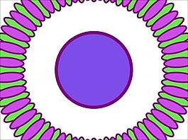 花為背景的幻燈片- 32041000