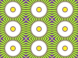 花為背景的幻燈片- 38807447