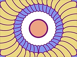 花為背景的幻燈片- 74718145