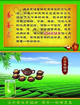 嵩園春綠茶圖片
