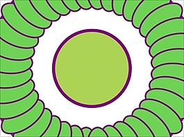 花為背景的幻燈片- 42345404