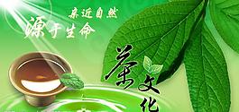 茶文化圖片