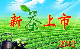 新茶上市圖片