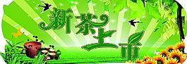 新茶上市圖片