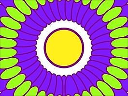花為背景的幻燈片- 22745615